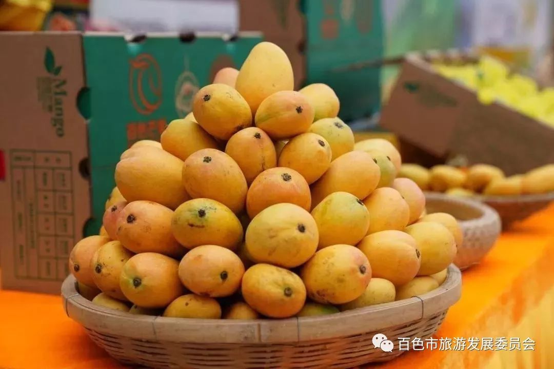 還愁吃不到百色芒果?田東扶貧館在京東平臺正式上線運營啦!