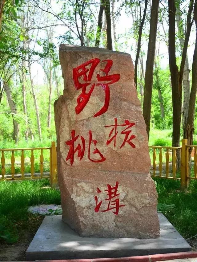 野核桃沟位于伊什格力克山北坡巩留核桃林场南,距巩留县城直线约15