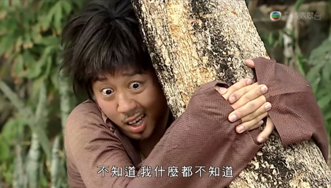 tvb十大傻仔角色佘诗曼胡杏儿上榜第一位绝对是神级演技