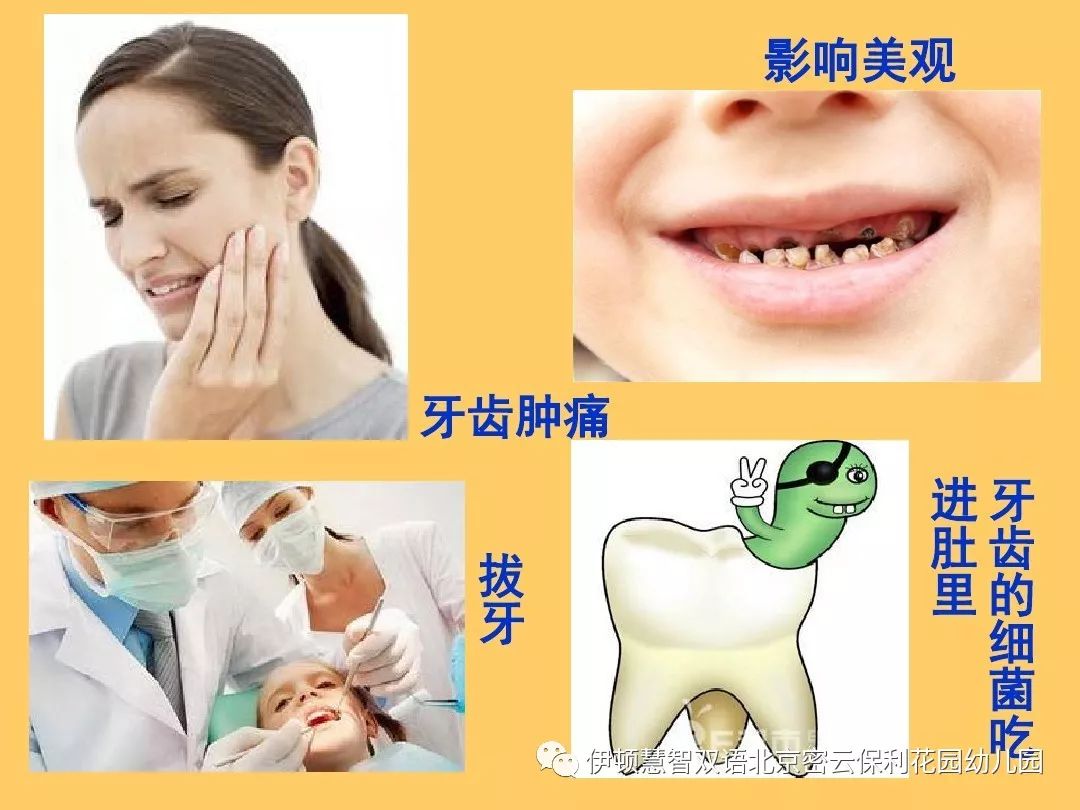 我们一起来打败牙细菌——海洋班分享【伊顿教学】_牙齿