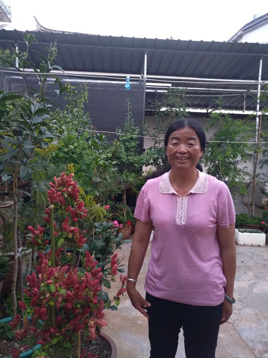 洱海源头的一朵梅花记洱源县牛街村党总支石碑分支部书记马亚梅