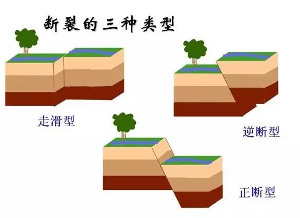 (地震断层的三种类型)六,动物是观察地震前兆的"活仪器",地震之前会