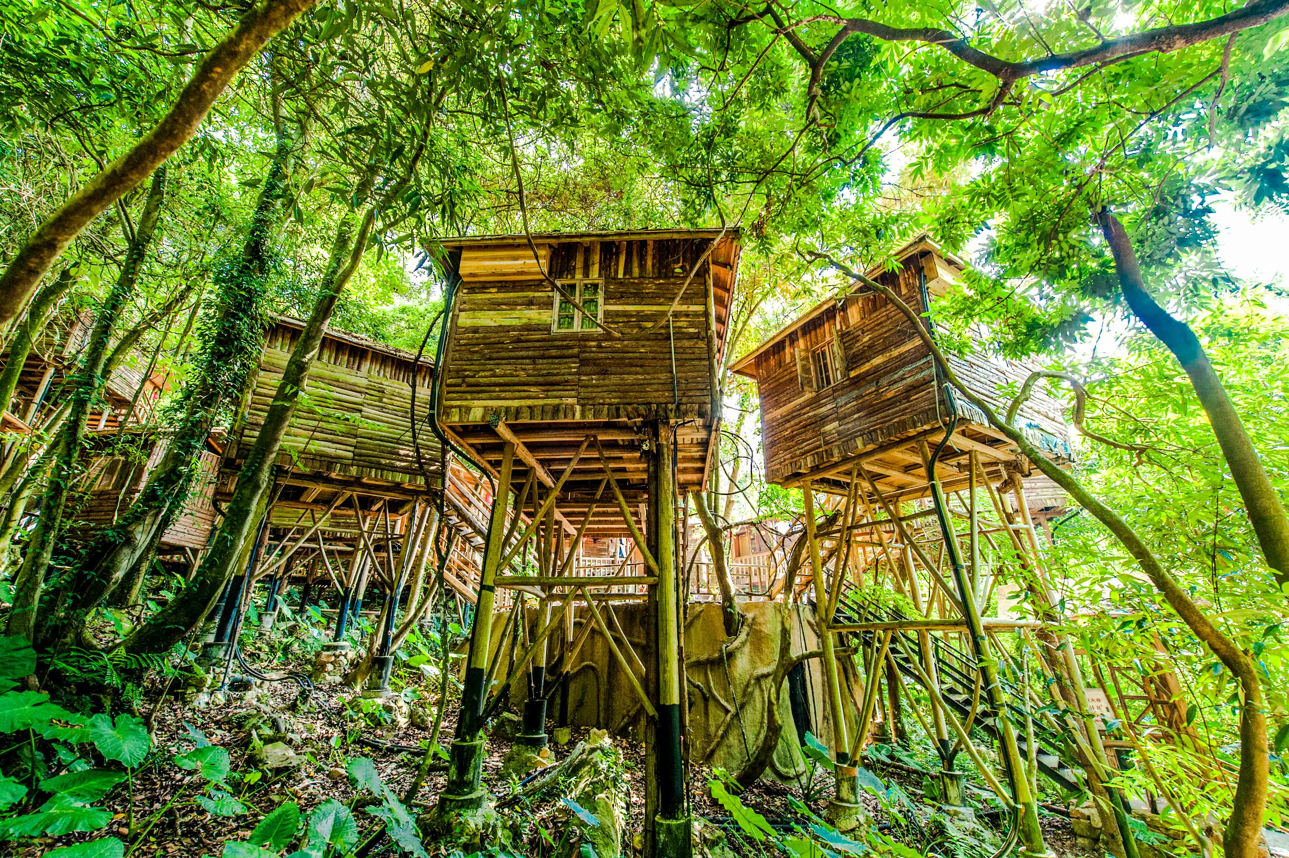 原始森林木屋生活图片