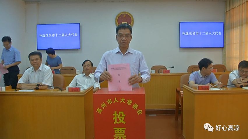 林炎,梁汉强,万芬,蔡奕军,黄海,何文霖,程立伟等8名同志为茂名市十二