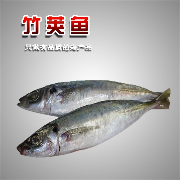 威海运都我为吃货狂今日推荐竹荚鱼排