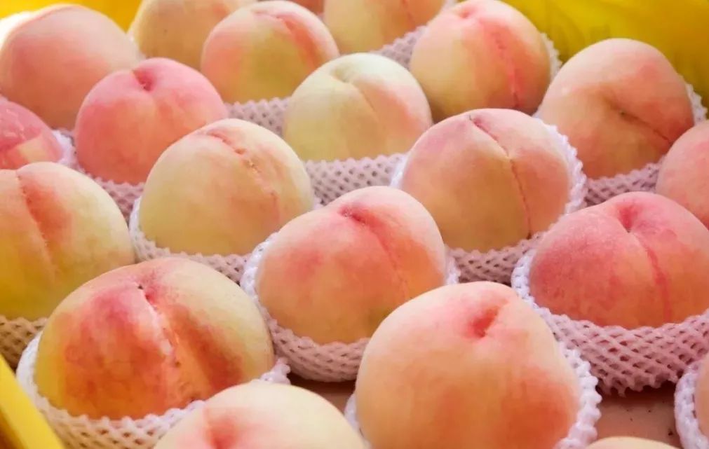 心动夏天必须是蜜桃味凤凰水蜜桃上市