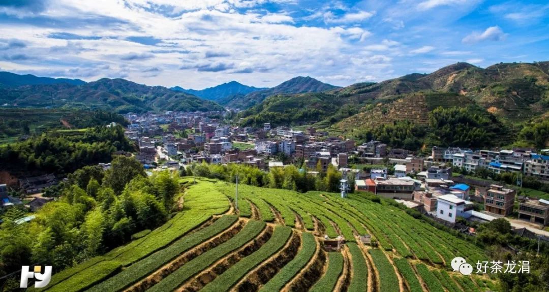 紧抓生态流域环境整治,提升美丽龙涓建设水平 —龙涓乡依法开展取缔