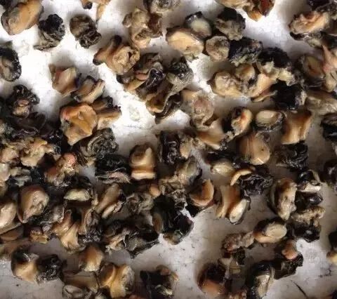 不清颜色时注意分辨大小福寿螺个大田螺只有一对因为感染寄生虫等问题
