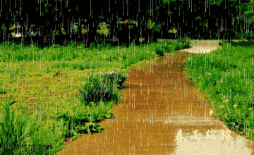 雨雨雨又来了!中雨转大雨,还有6级大风.