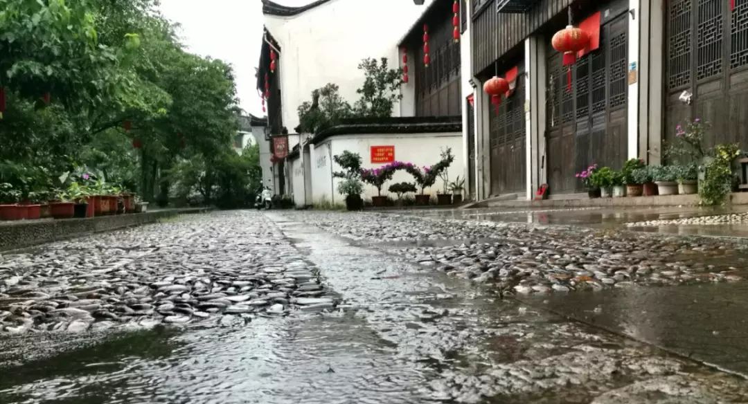 梅雨季節不當黴人當潮人