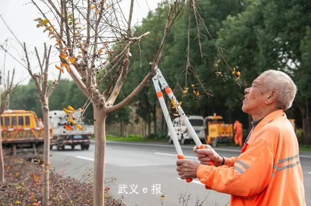 壮丽70年辉煌七十事⑤通衢大道畅四方70年武义新交通篇