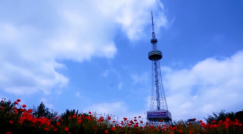 从南潭公园到清音公园,细数新泰公园70年的美丽蜕变!