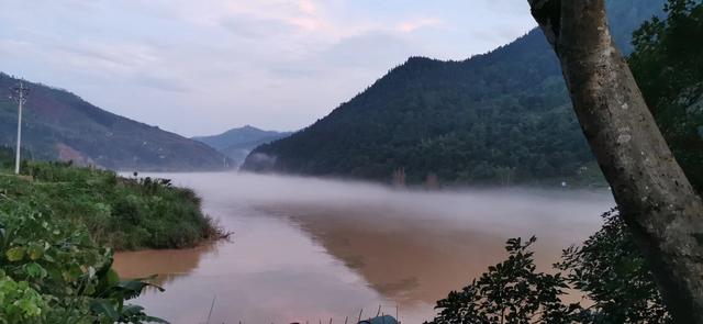 贵州从江县都柳江从江河段现黄绿相映成彰景观