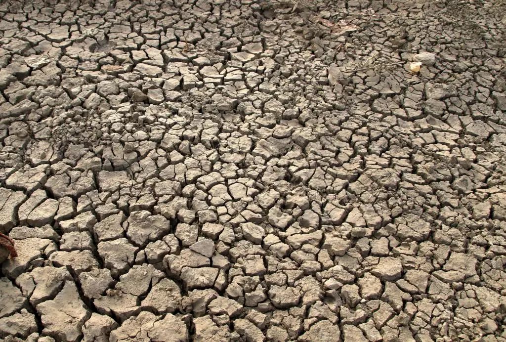 旱灾高温夺命印度酷暑致近100人死亡