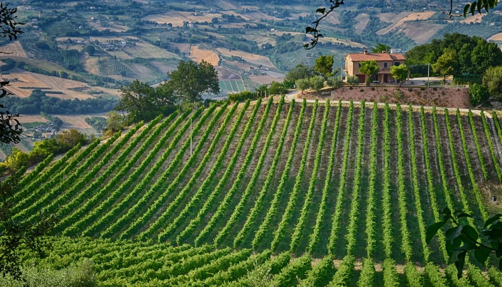 5个小知识帮你喝到一杯好咖啡