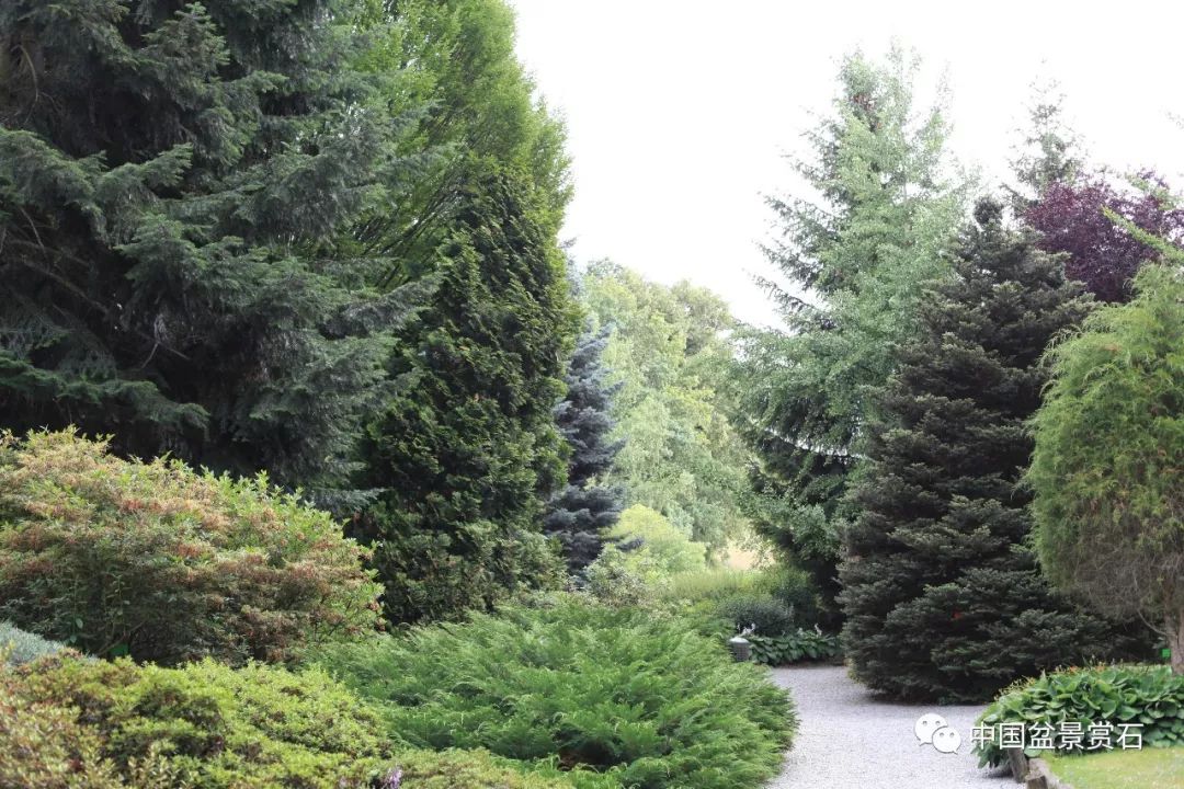 灌木林乔木,乔木灌木,灌木林灌丛_大山谷图库