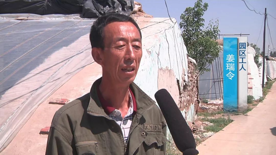 闫志远回乡创业带动致富助力乡村振兴