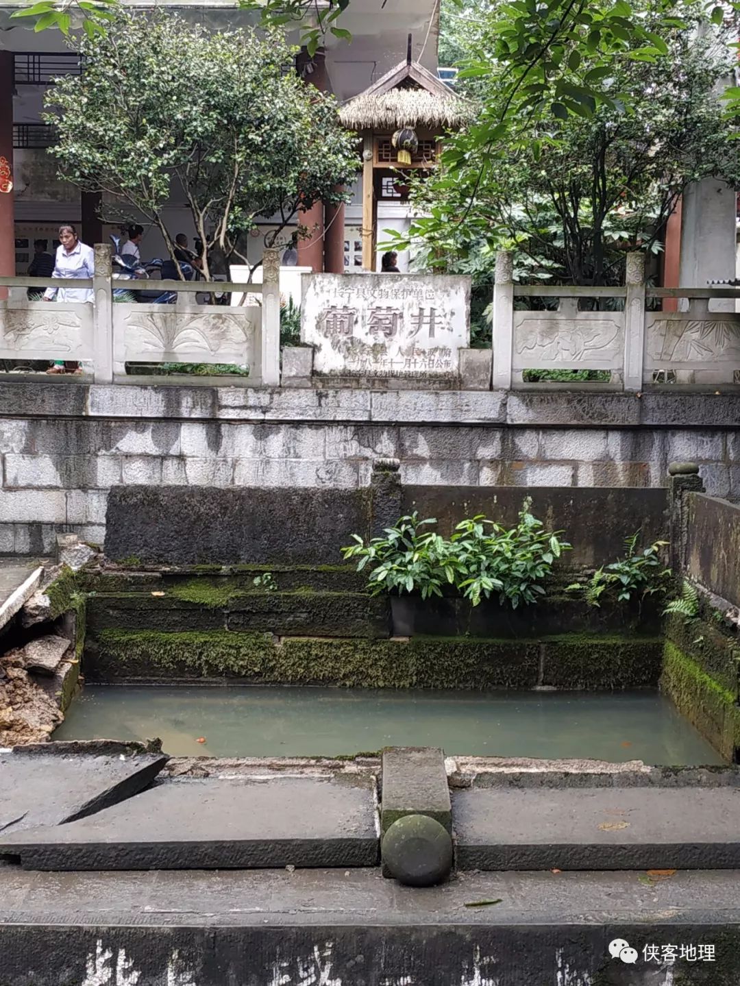 地质专家宜宾葡萄井正在恢复地震带不走千年美味