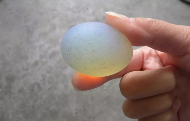 河边捡到的"鸡蛋石",克价1万?真相