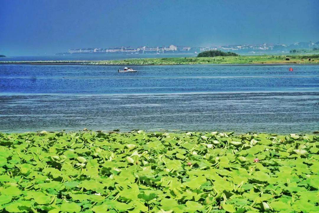 鄂州梁子湖畔共建交流平臺解碼鄉村振興戰略背景下的機遇與趨勢