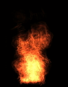 结果…拘留10天!