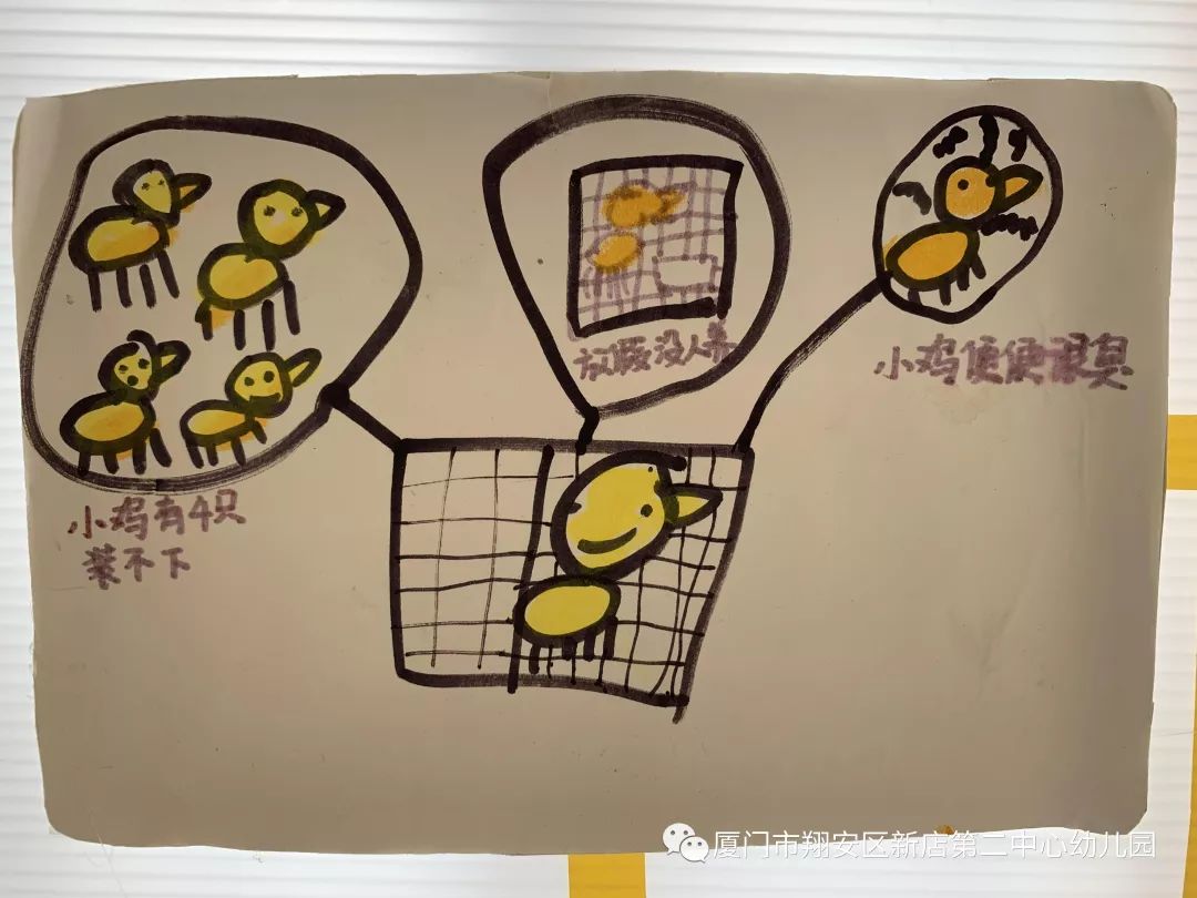 探索生命之旅大三班蛋宝宝孵化记分享
