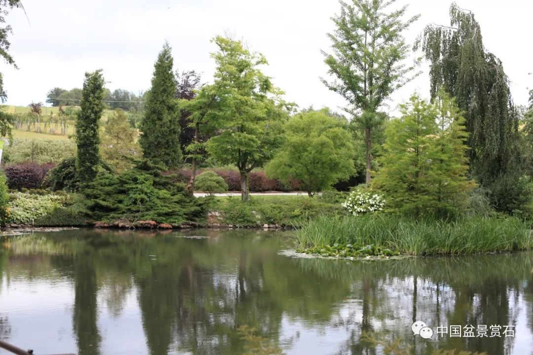 水系设计及水岸植物配置内容来源《中国盆景赏石》2018-12#返回搜狐