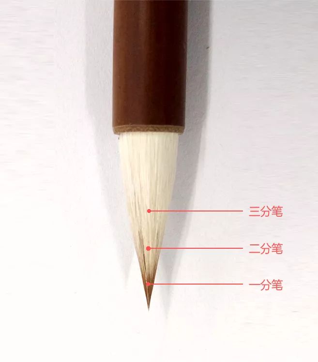 毛笔笔头结构图片