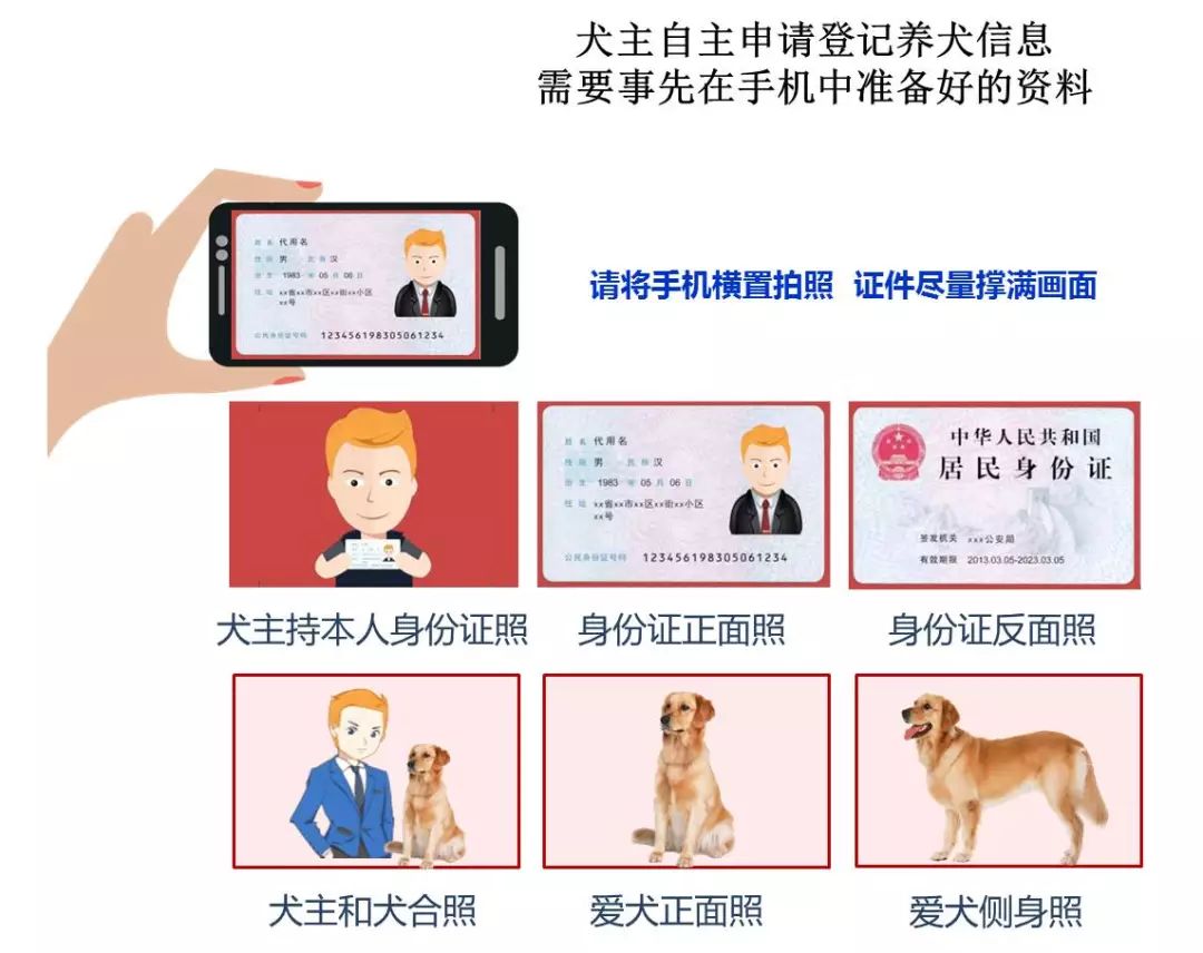 办证养犬,你要的网上办证信息来啦_登记