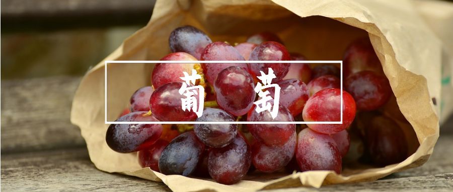 鲜玫瑰批发价格