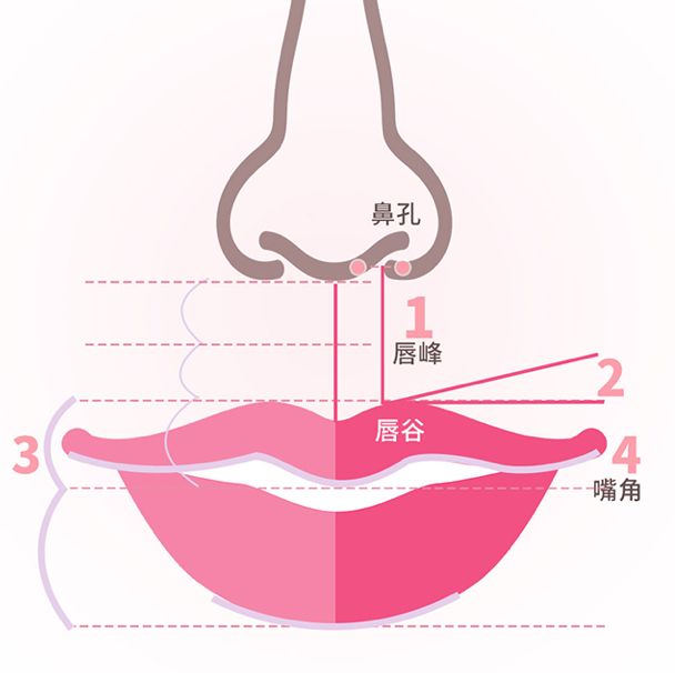 人中长度测量图片图片