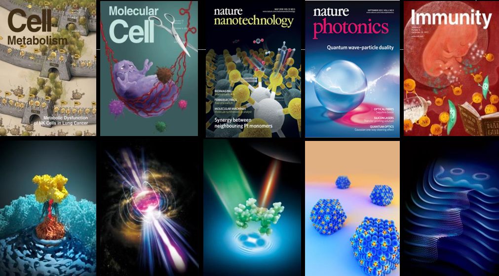 王国燕:如何用视觉艺术,捕捉前沿科学的精彩瞬间?_图像