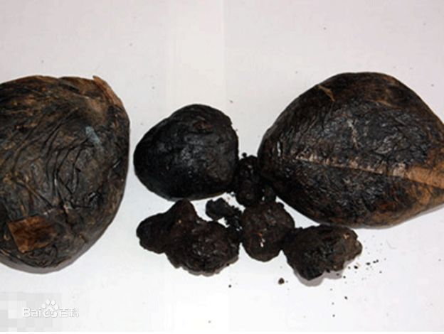 珍爱生命,远离毒品