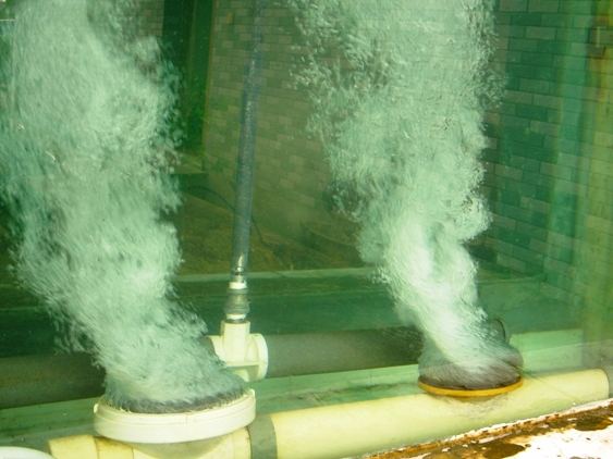 溶氧不超过2就不会曝气过量吗