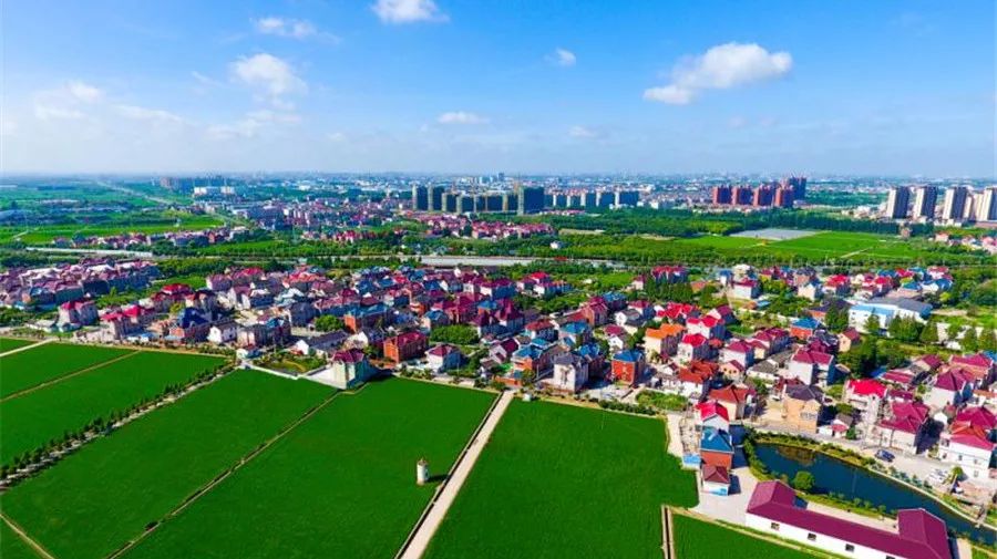 海星村地块影像图>>>宝山区罗泾镇海星村   2.