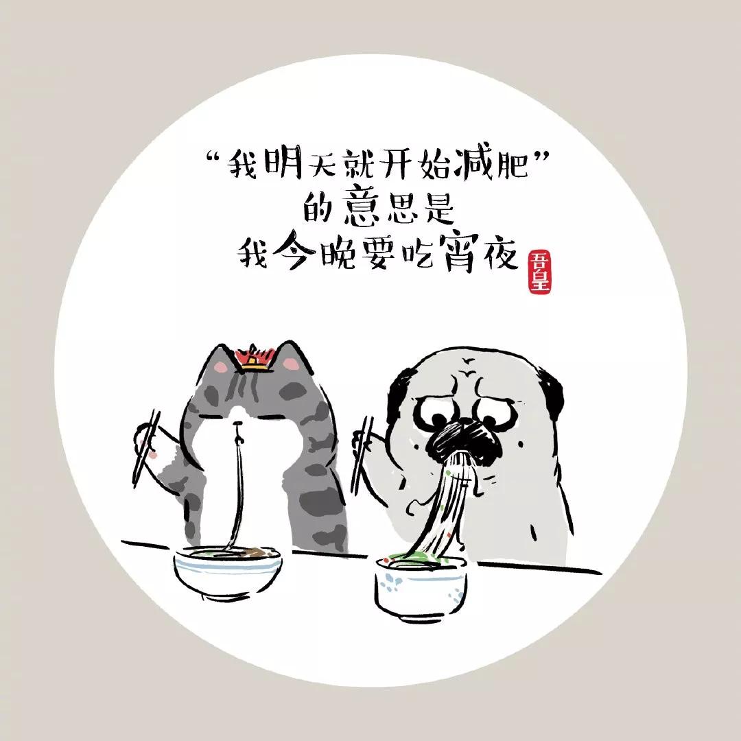 我的文案不如一只猫