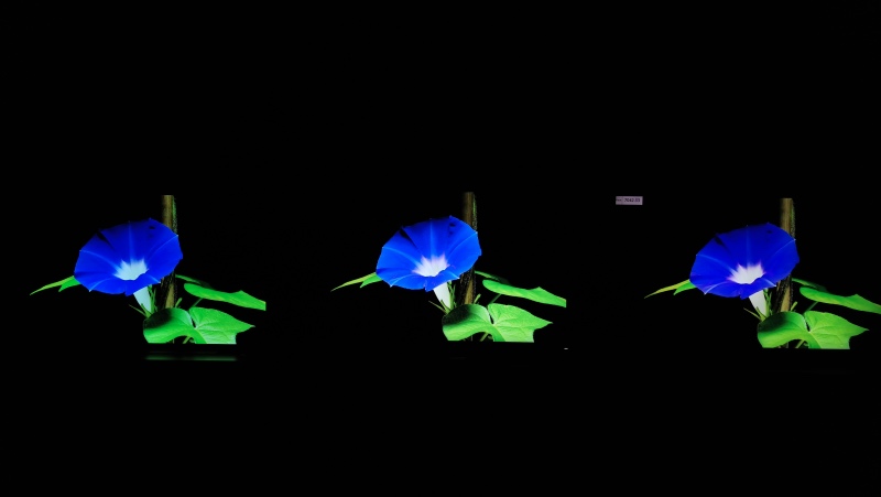 海信电视“黑科技”放大招:让OLED和量子点显示技术自叹不如!-家电圈官网