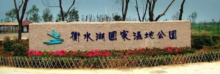 即日起至8月31日,全国中高考生游衡水湖免门票