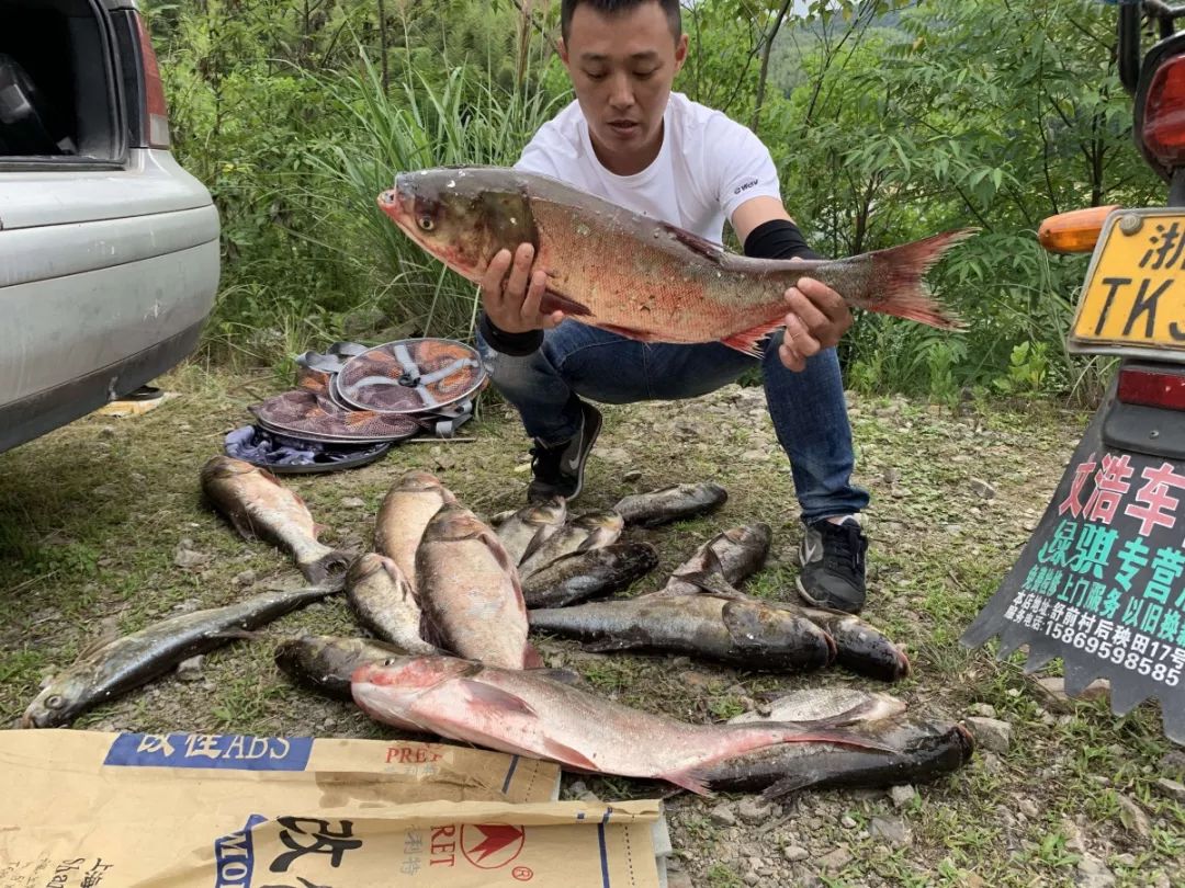 第二届化氏大物王丨快来选出你心中的鲢鳙高手吧