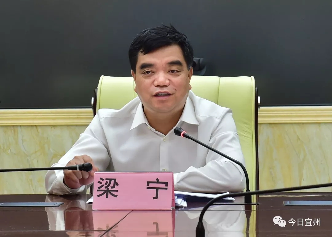 区委副书记,区长梁宁,区委常委,区人武部部长程敬怀,区人武部政委陈