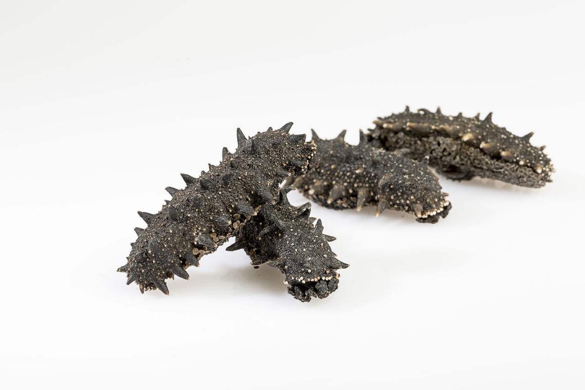 火炉城市的石家庄,买干海参的朋友快来看看如何储存吧 _加工