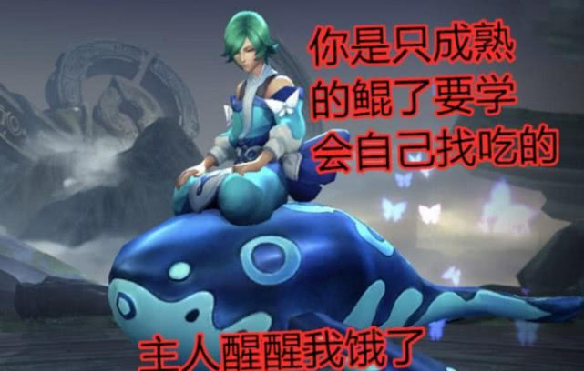 王者荣耀喜欢养宠物的英雄庄周的鲲可爱至极钟馗却养鬼
