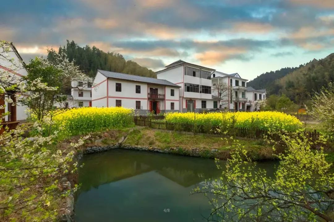 之间有人说蔡德华,柏露村人,井冈山斗争时期任原宁冈县赤卫队副大队长