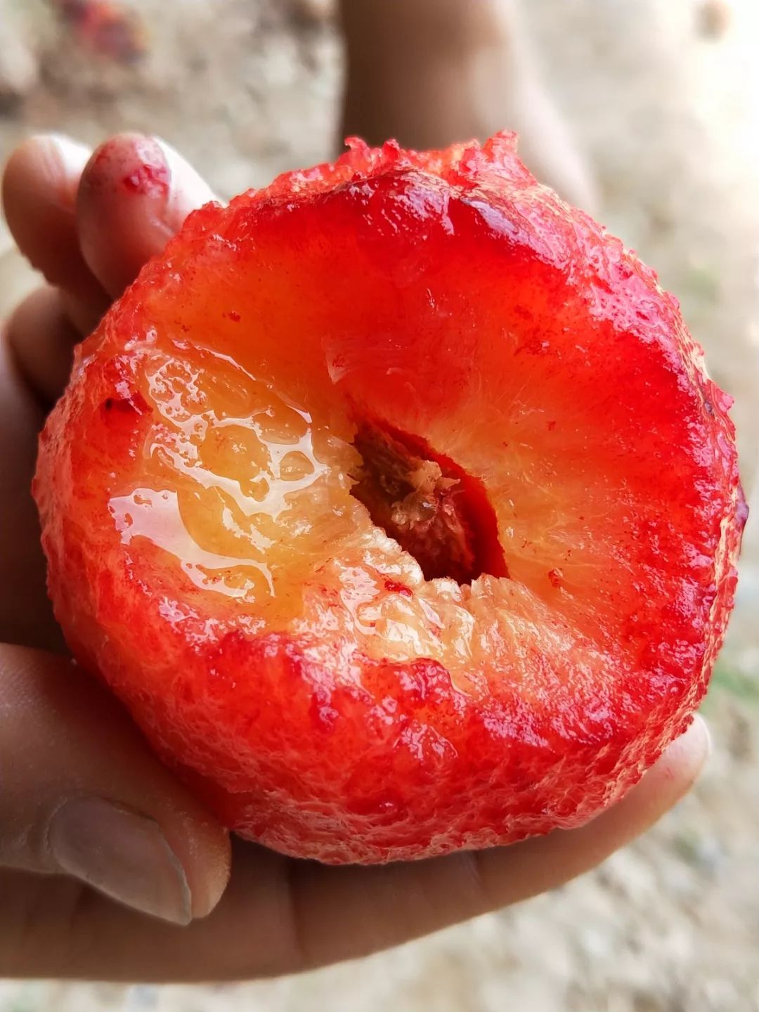 汁水丰富吃了好吃想再买要再等一年的大凉山布朗李上架啦