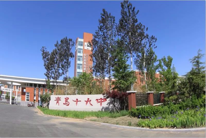 见字如面丨随心去飞用心去爱写给青岛十九中2019届毕业生的一封信