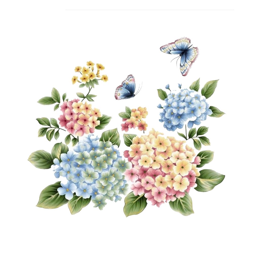 倒计时第二天|无尽夏 舞曲 舞步教程 抢票通道