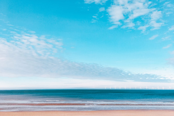 五行属木的字有哪些 最吉日的名字是什么 意思