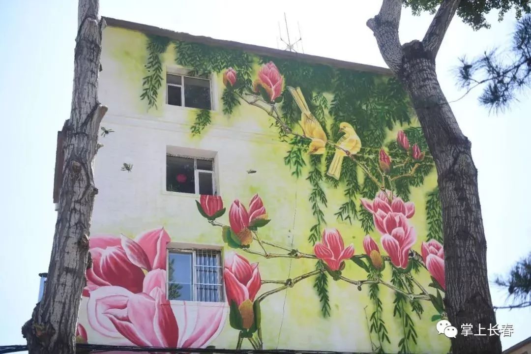 长春,转角遇到美!彩绘让街边老楼华丽大变身
