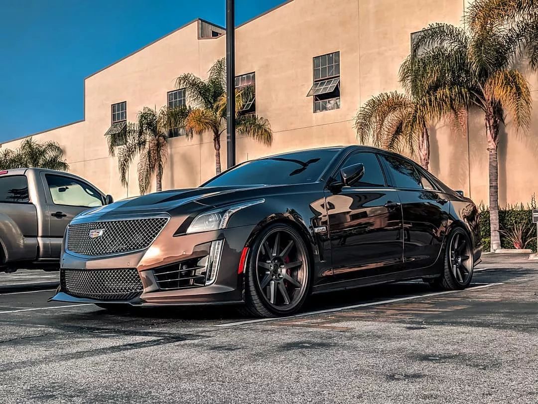 turk_ctsv3officiallexanitire2emurda7571