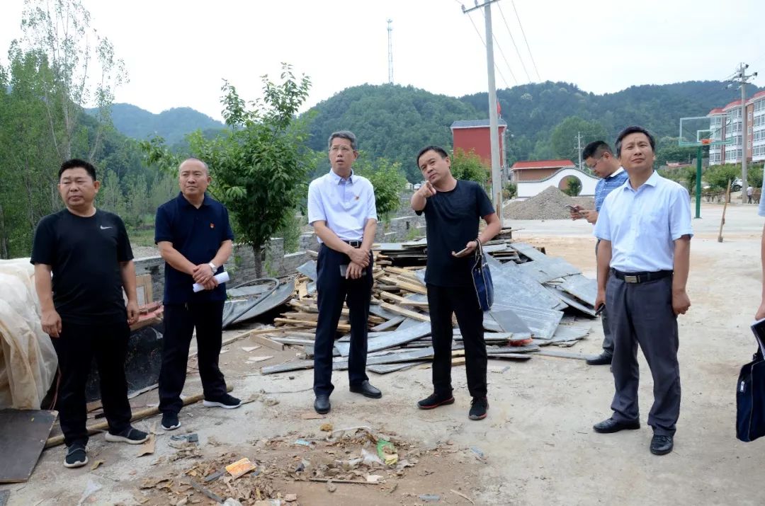 县委书记潘峰深入王坪乡暗访督导脱贫攻坚工作